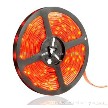12V 24V 3528 LED Strip Light Flexible Strip Light